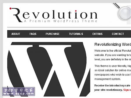 WP Premium Template: Revolution Theme
